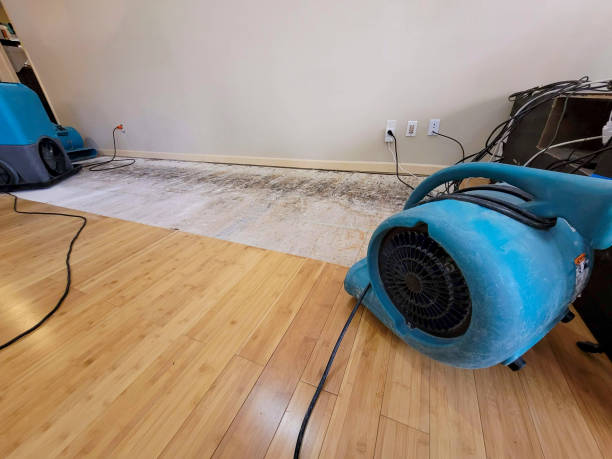 Professional Ceiling Water Damage Repair technician working in Reasnor, IA